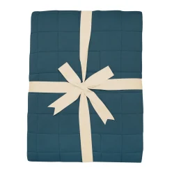 Best Kyte Baby Adult Quilted Blanket in 2.5 Atlantic