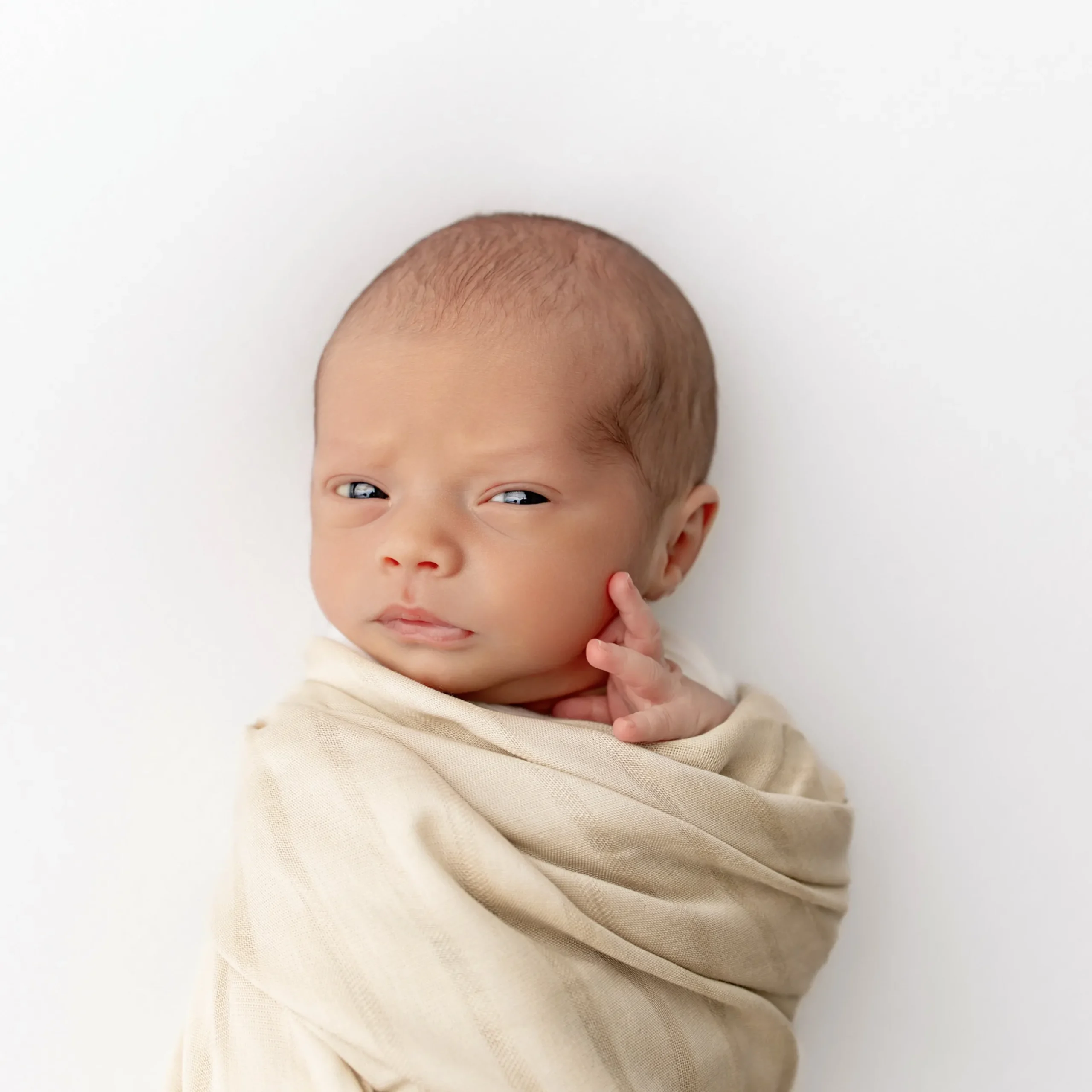 Outlet Kyte Baby Bamboo Muslin Swaddle Blanket in Wheat