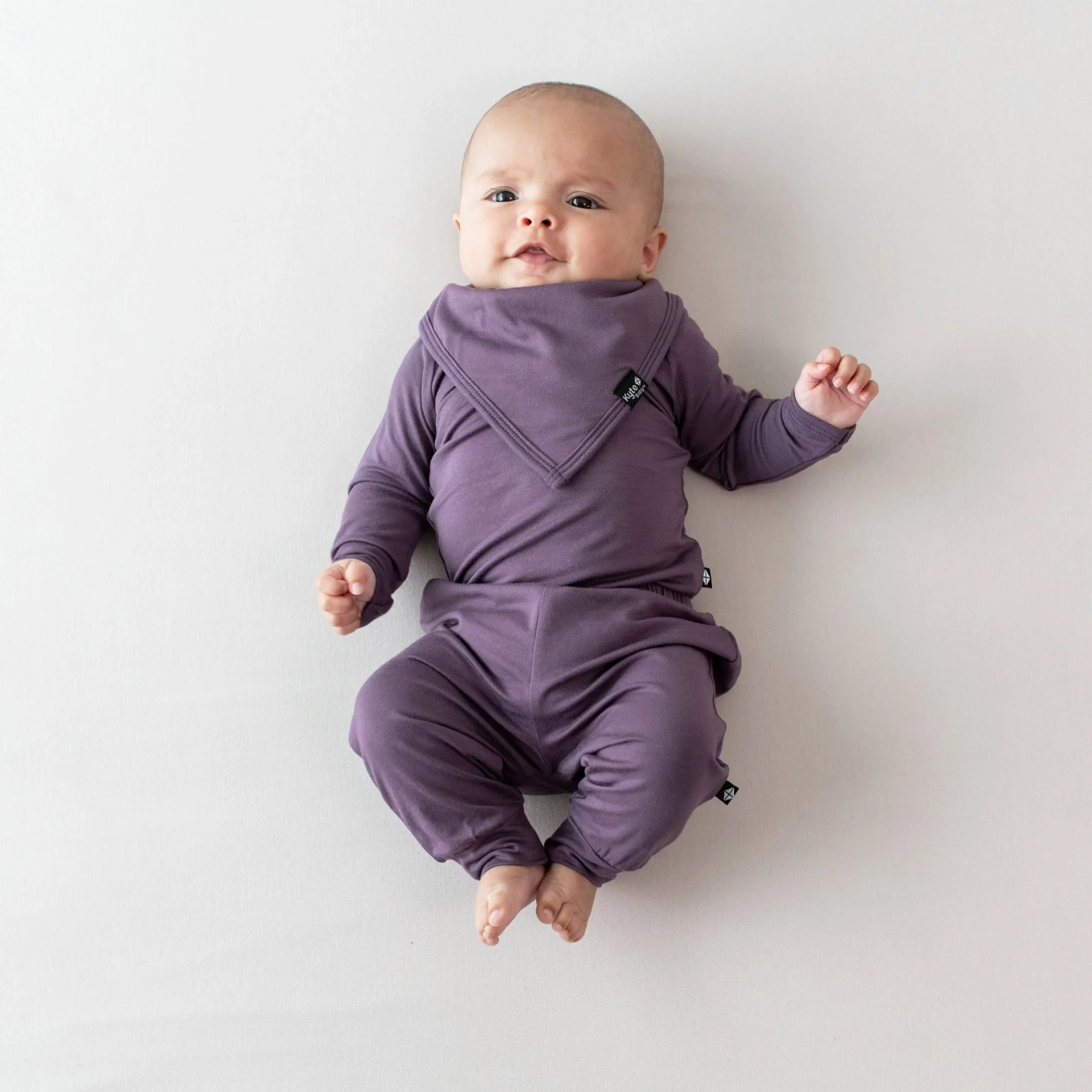 Online Kyte Baby Bib in Currant