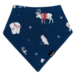 New Kyte Baby Bib in Frosty Friends