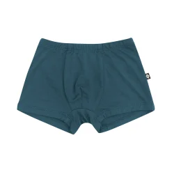 Sale Kyte Baby Briefs in Atlantic