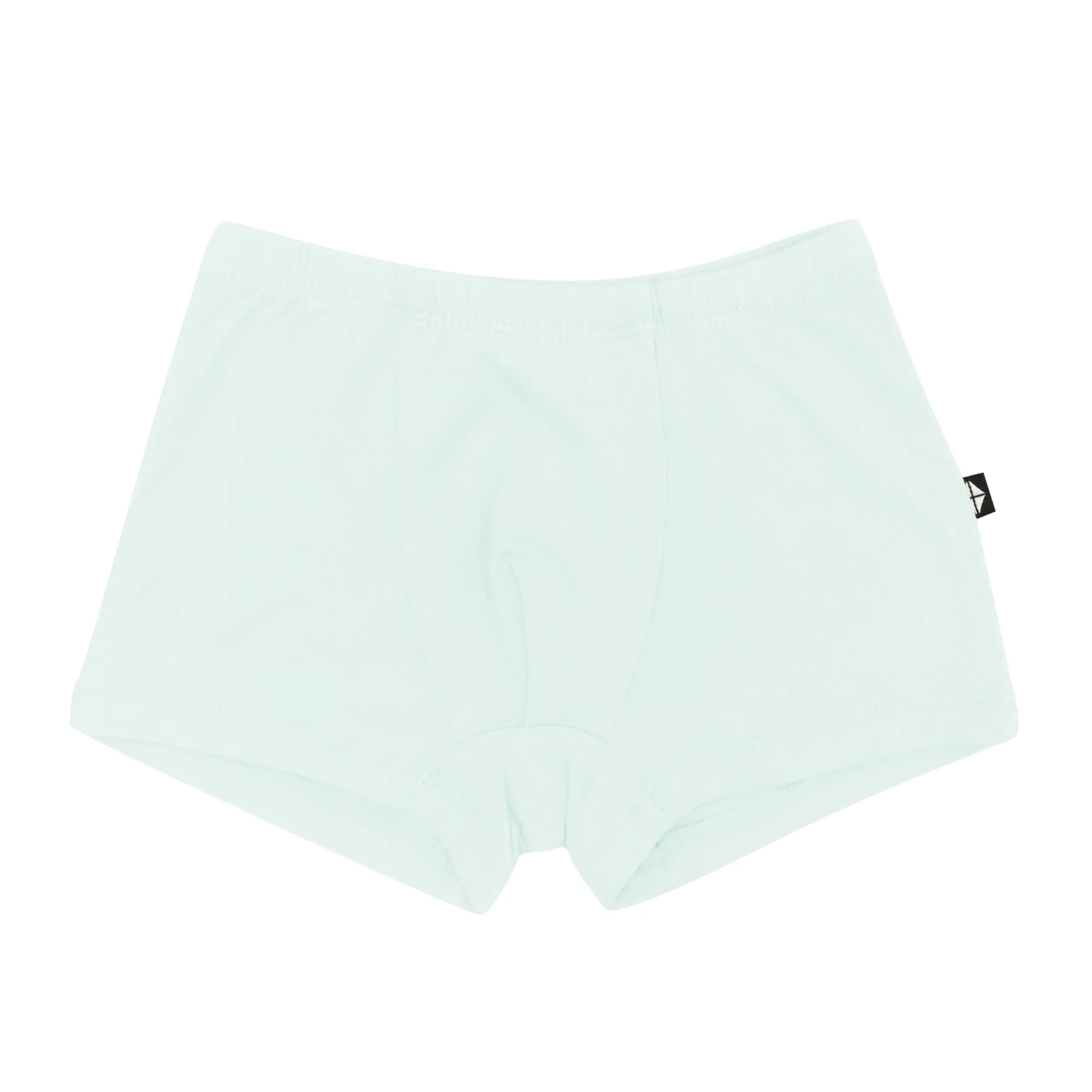 New Kyte Baby Briefs in Dew