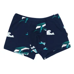 Best Kyte Baby Briefs in Humpback