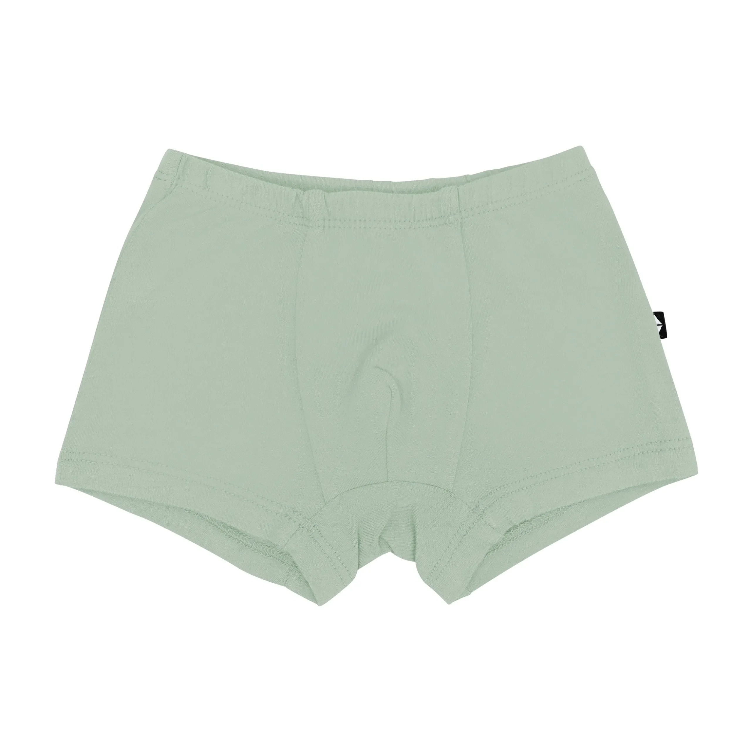 Clearance Kyte Baby Briefs in Thyme