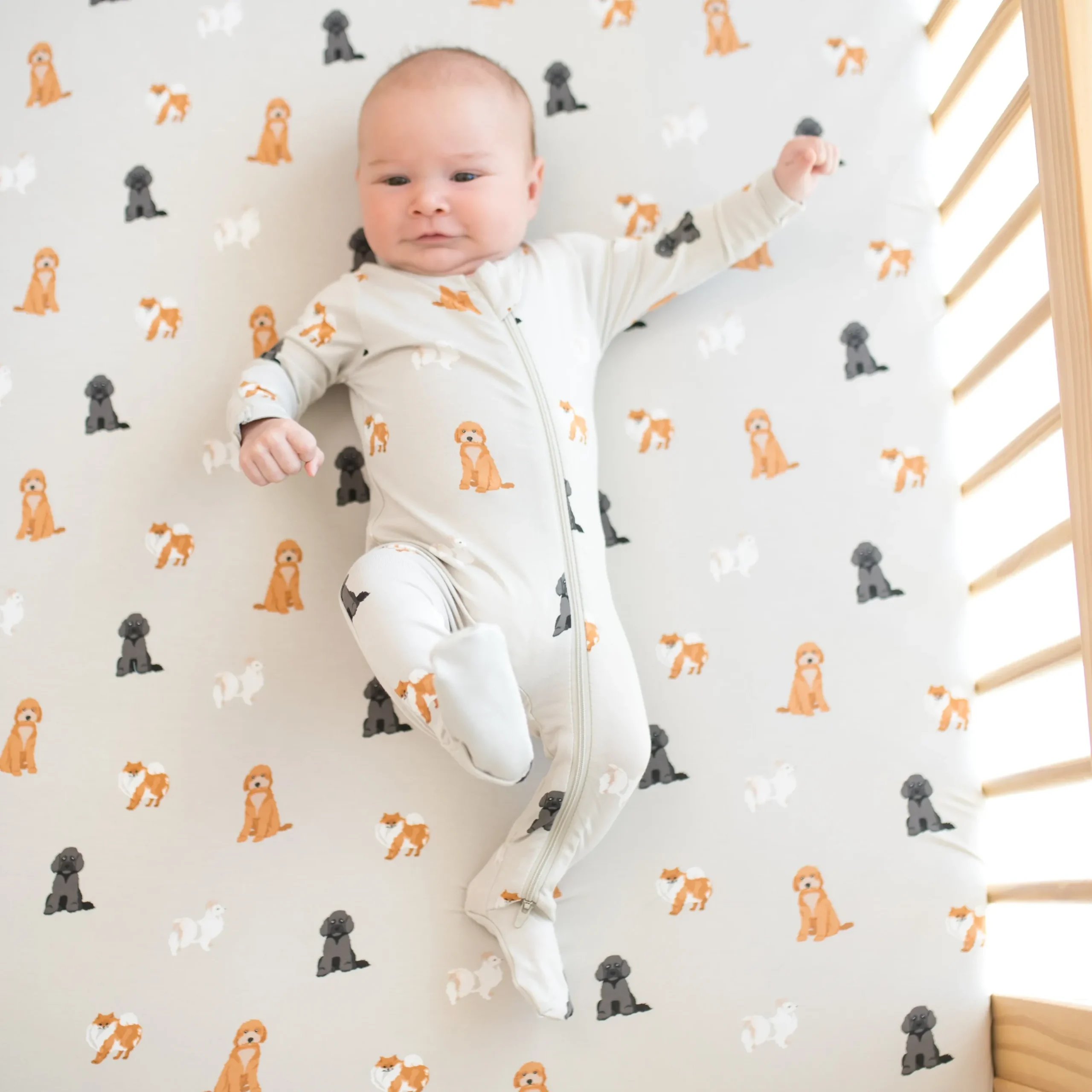 Best Kyte Baby Crib Sheet in Fluffy Dog
