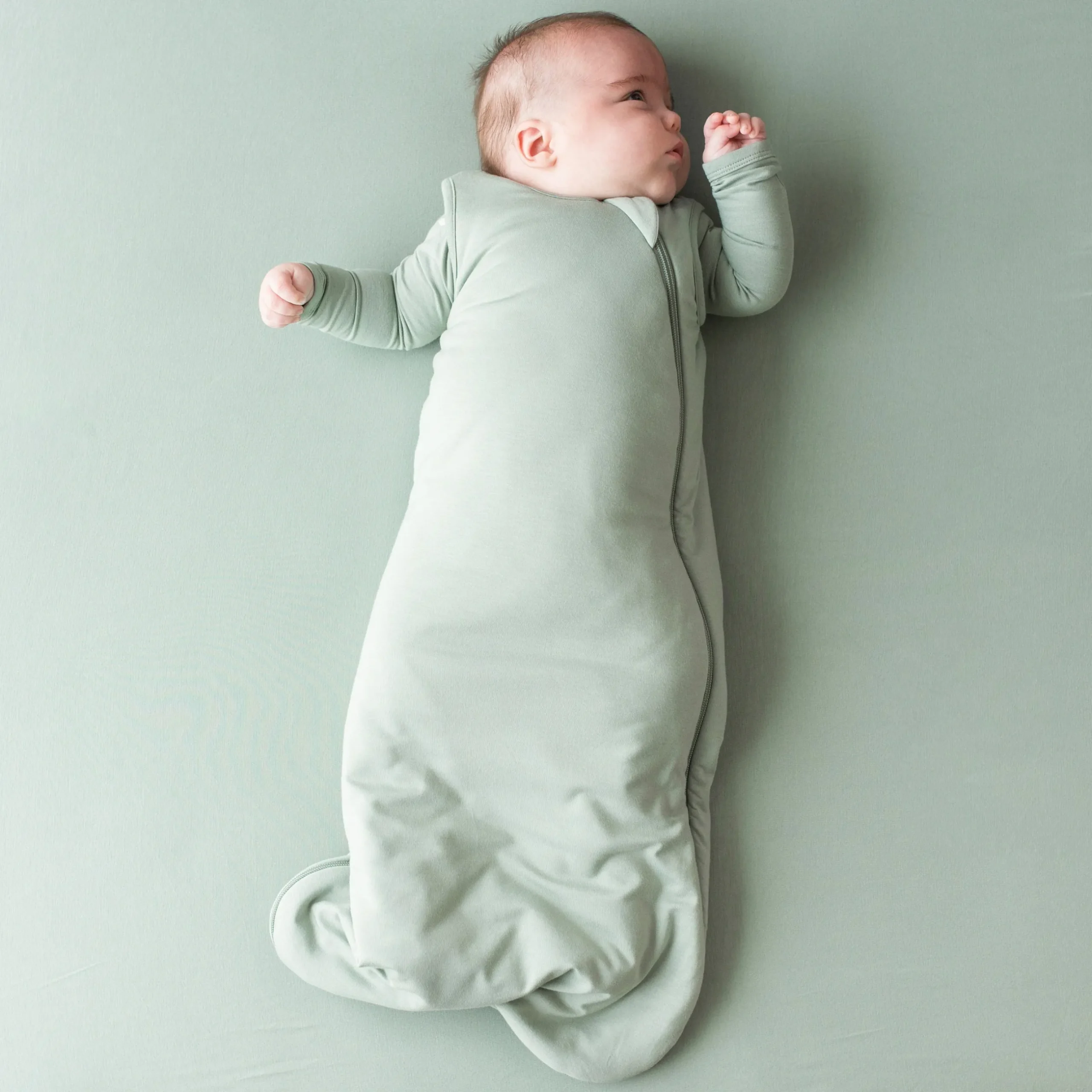 Outlet Kyte Baby Crib Sheet in Thyme