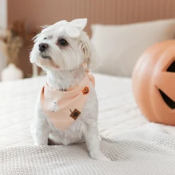 Outlet Kyte Baby Dog Bandana in Bewitched