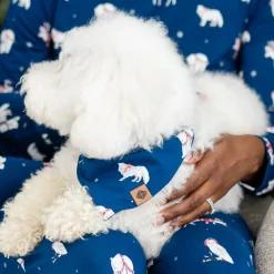 Online Kyte Baby Dog Bandana in Frosty Friends