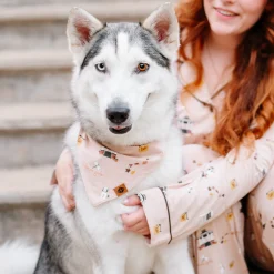 Online Kyte Baby Dog Bandana in Gilmore Girls