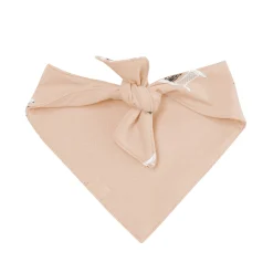 Online Kyte Baby Dog Bandana in Gilmore Girls