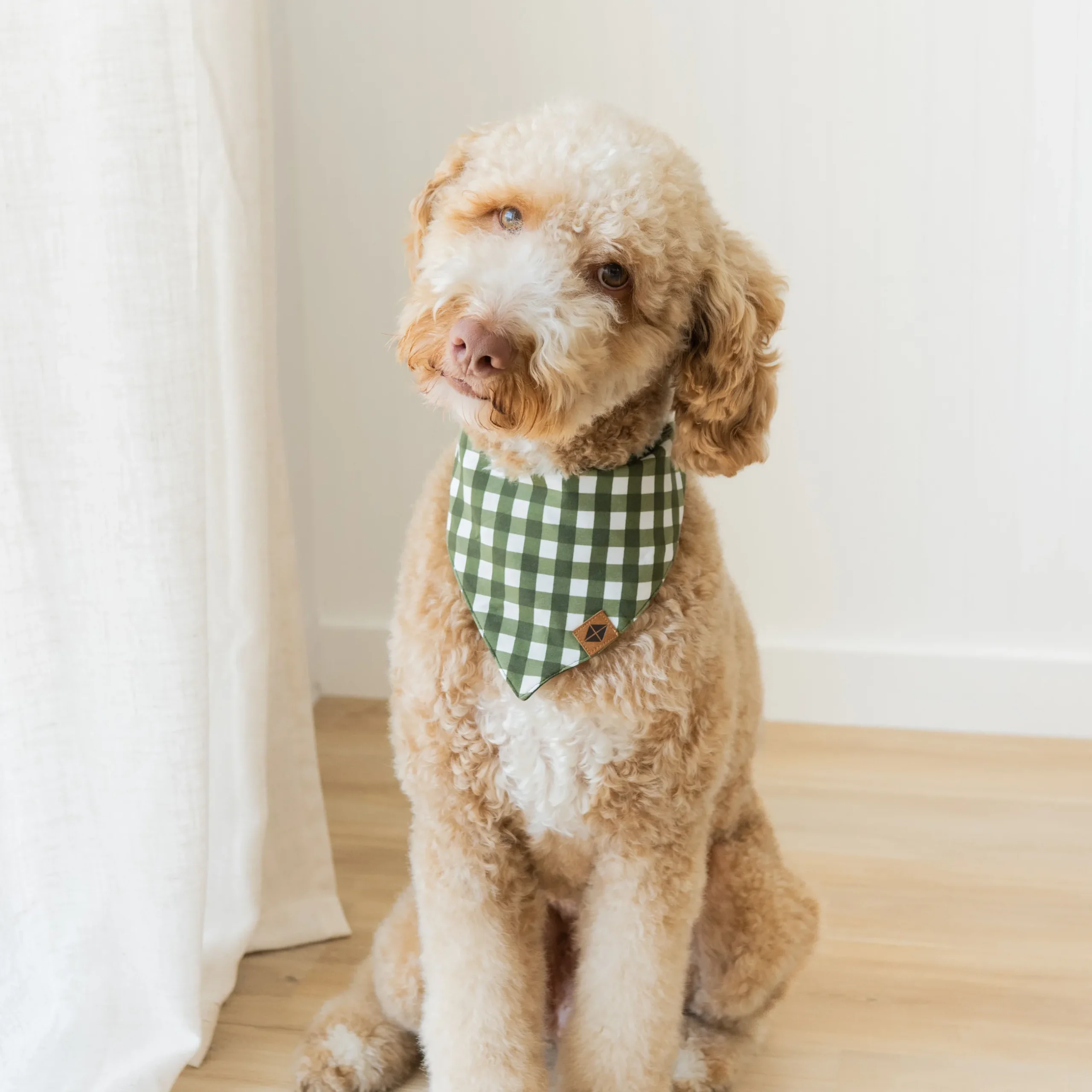 New Kyte Baby Dog Bandana in Gingham Fir