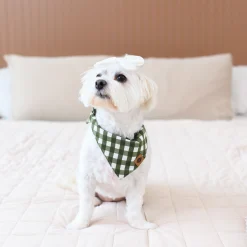 New Kyte Baby Dog Bandana in Gingham Fir