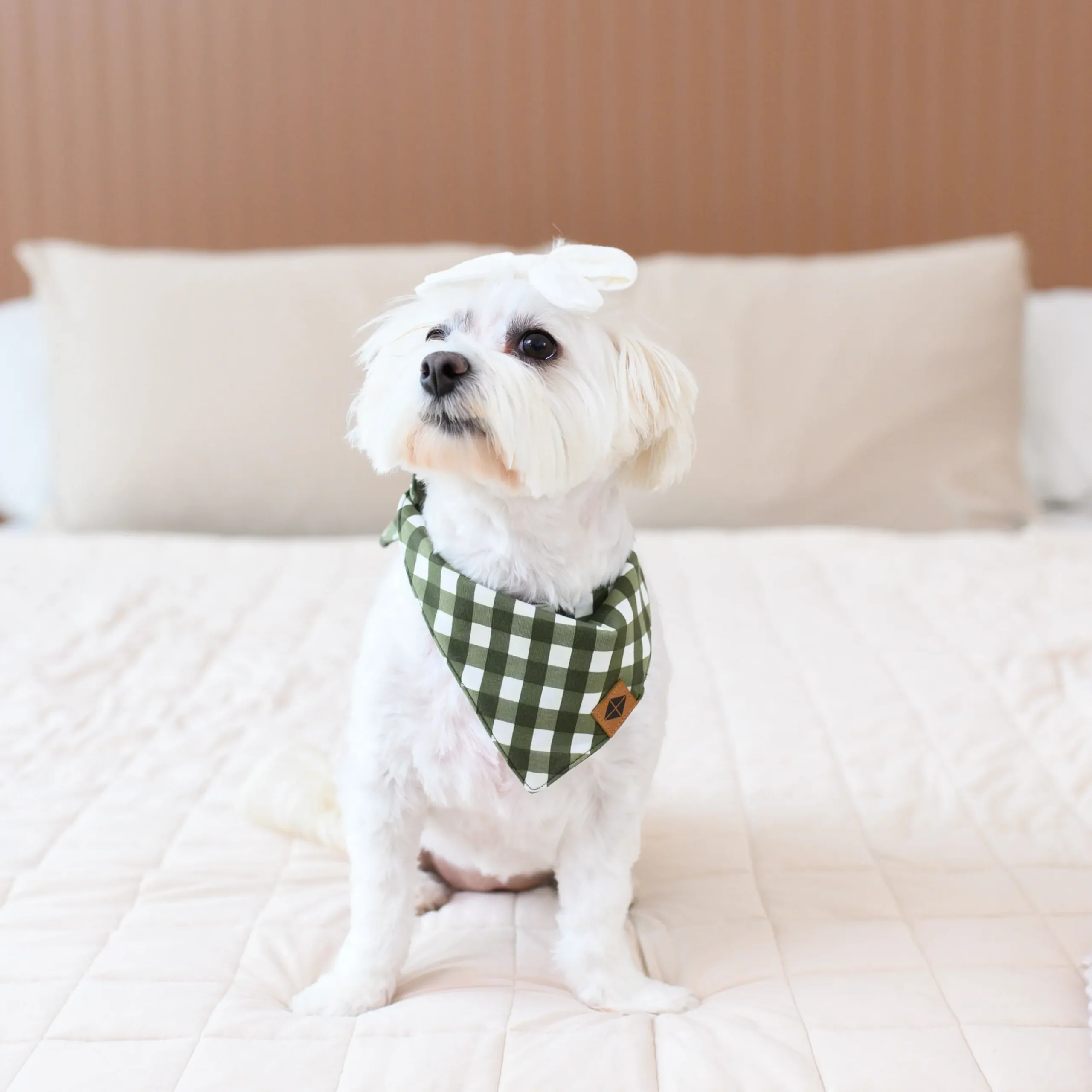 New Kyte Baby Dog Bandana in Gingham Fir