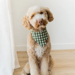 New Kyte Baby Dog Bandana in Gingham Fir