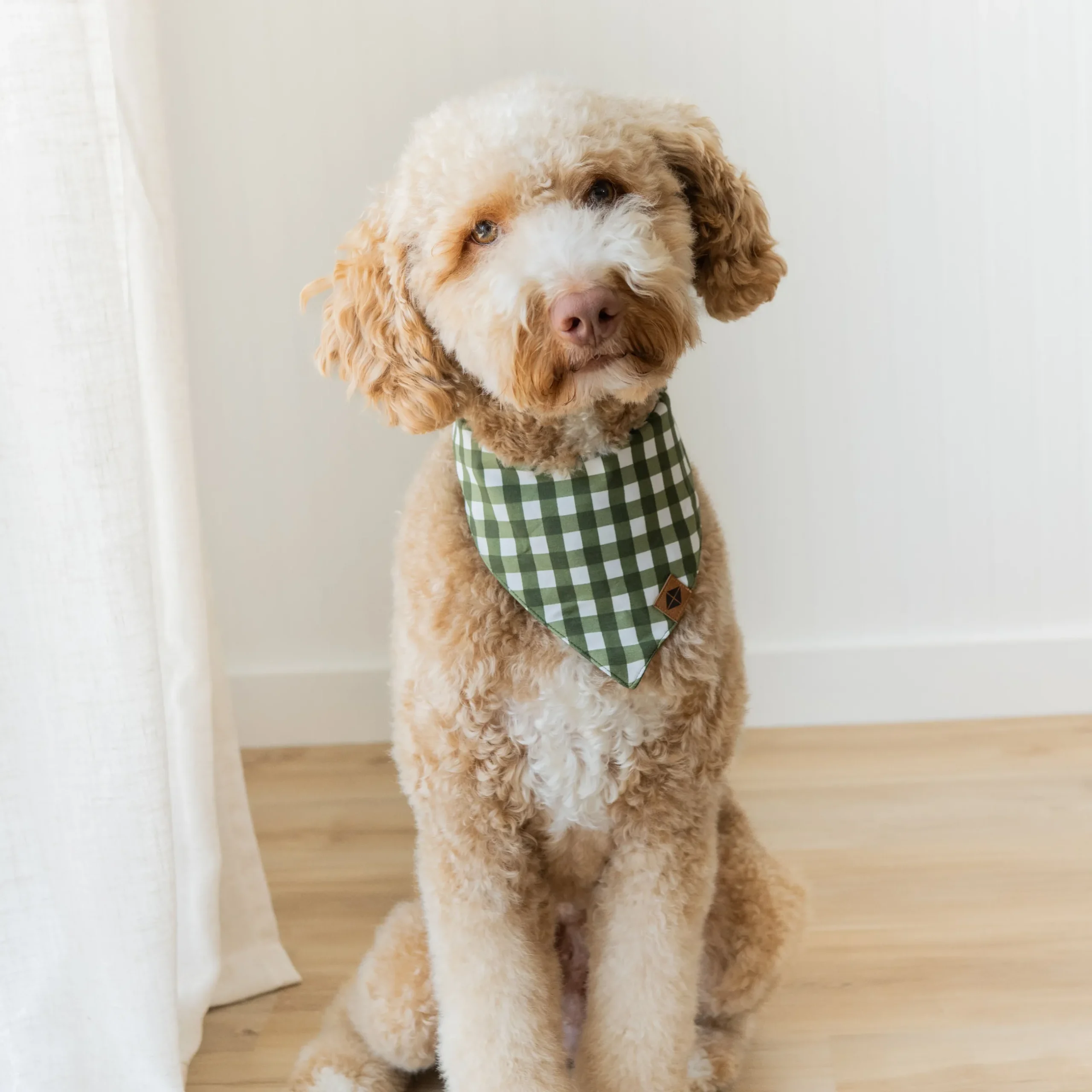 New Kyte Baby Dog Bandana in Gingham Fir