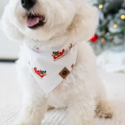 Online Kyte Baby Dog Bandana in Santa Sleigh