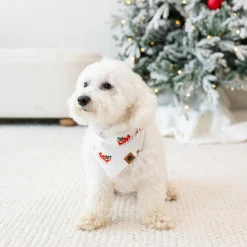 Online Kyte Baby Dog Bandana in Santa Sleigh