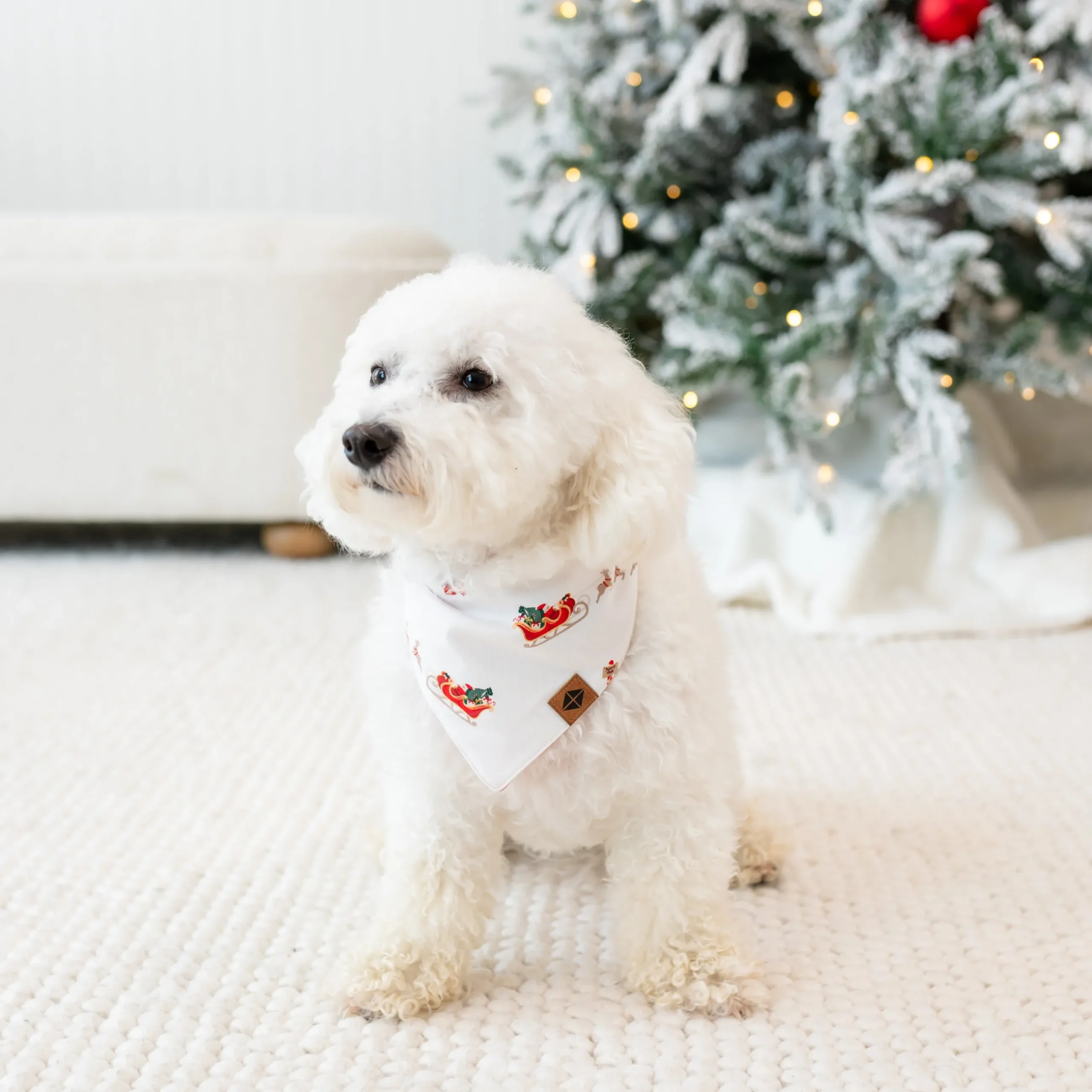 Online Kyte Baby Dog Bandana in Santa Sleigh