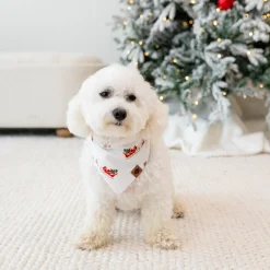 Online Kyte Baby Dog Bandana in Santa Sleigh