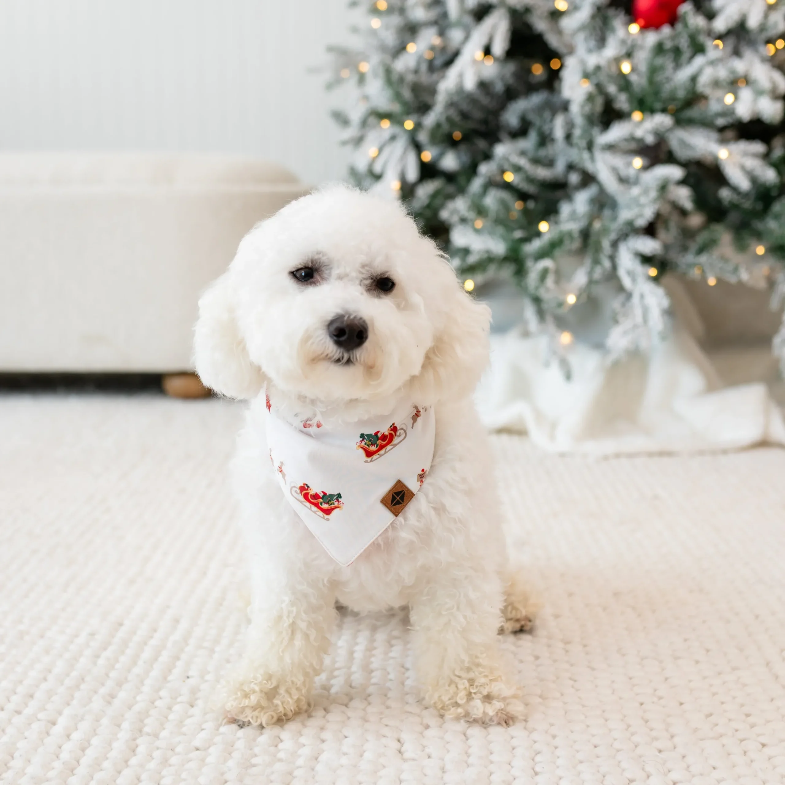 Online Kyte Baby Dog Bandana in Santa Sleigh