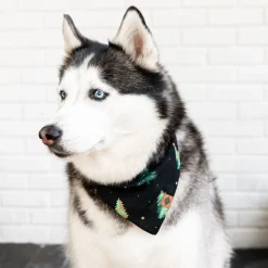 Best Kyte Baby Dog Bandana in Twinkle Tree