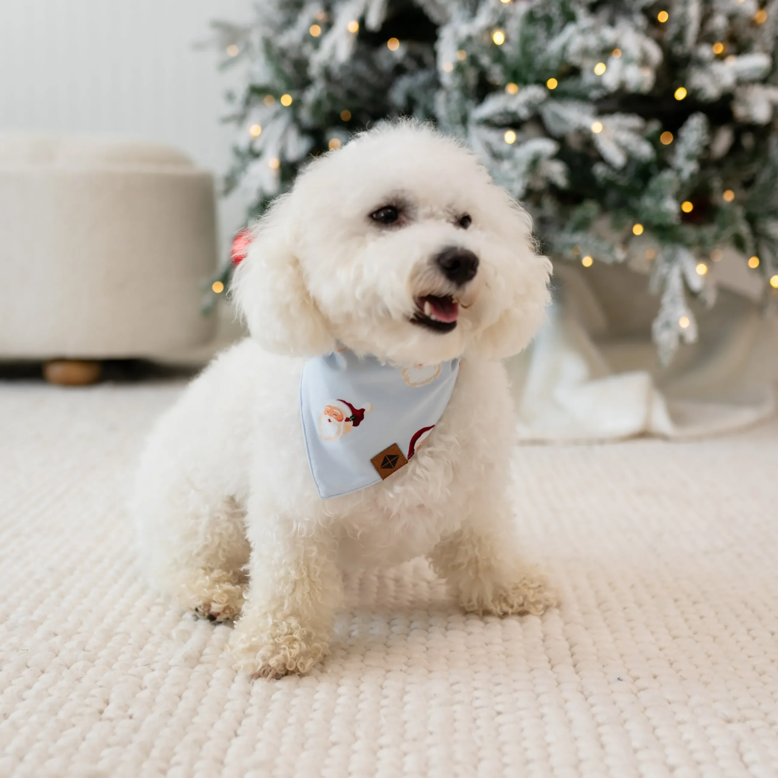 New Kyte Baby Dog Bandana in Vintage Santa