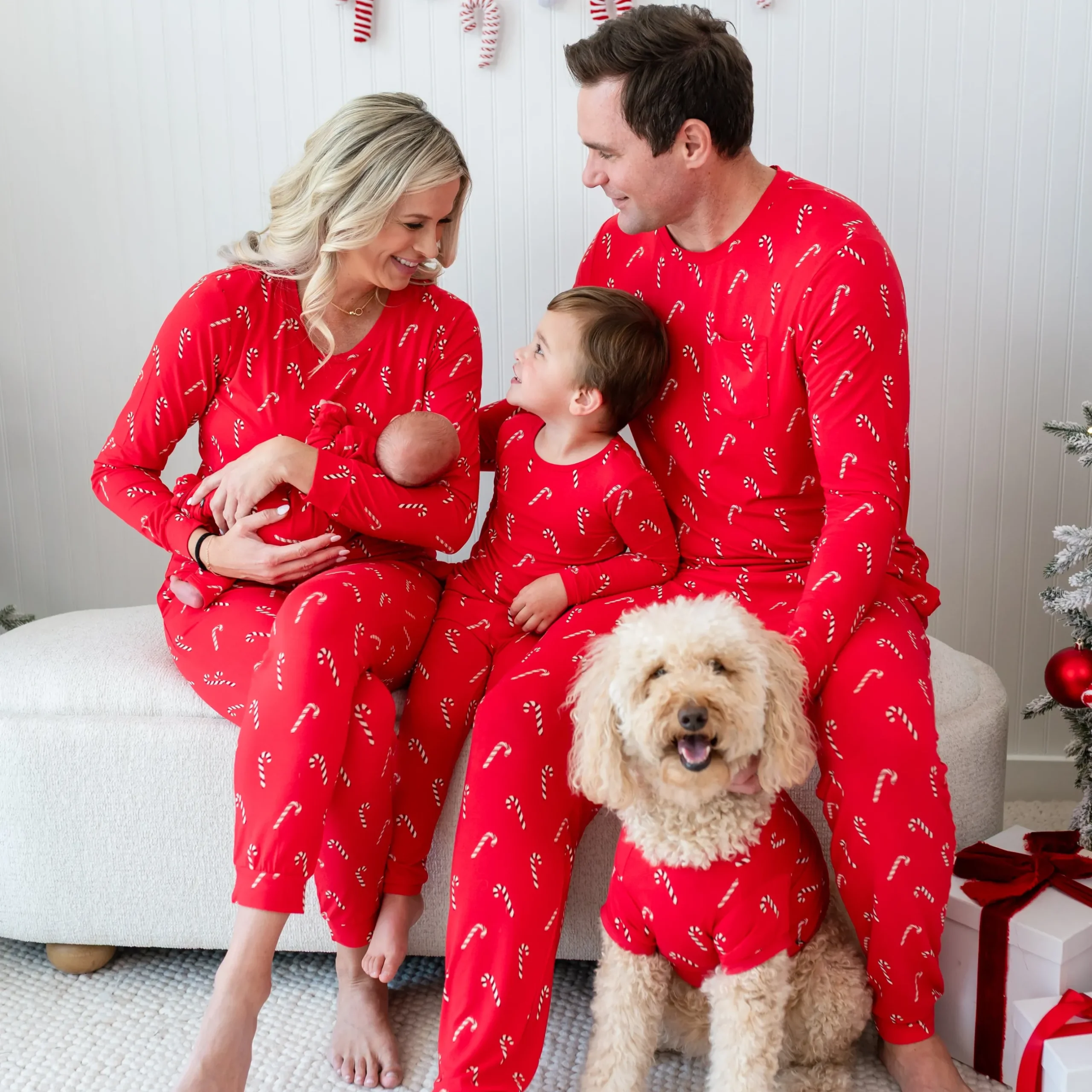 Best Kyte Baby Dog Tee in Candy Cane