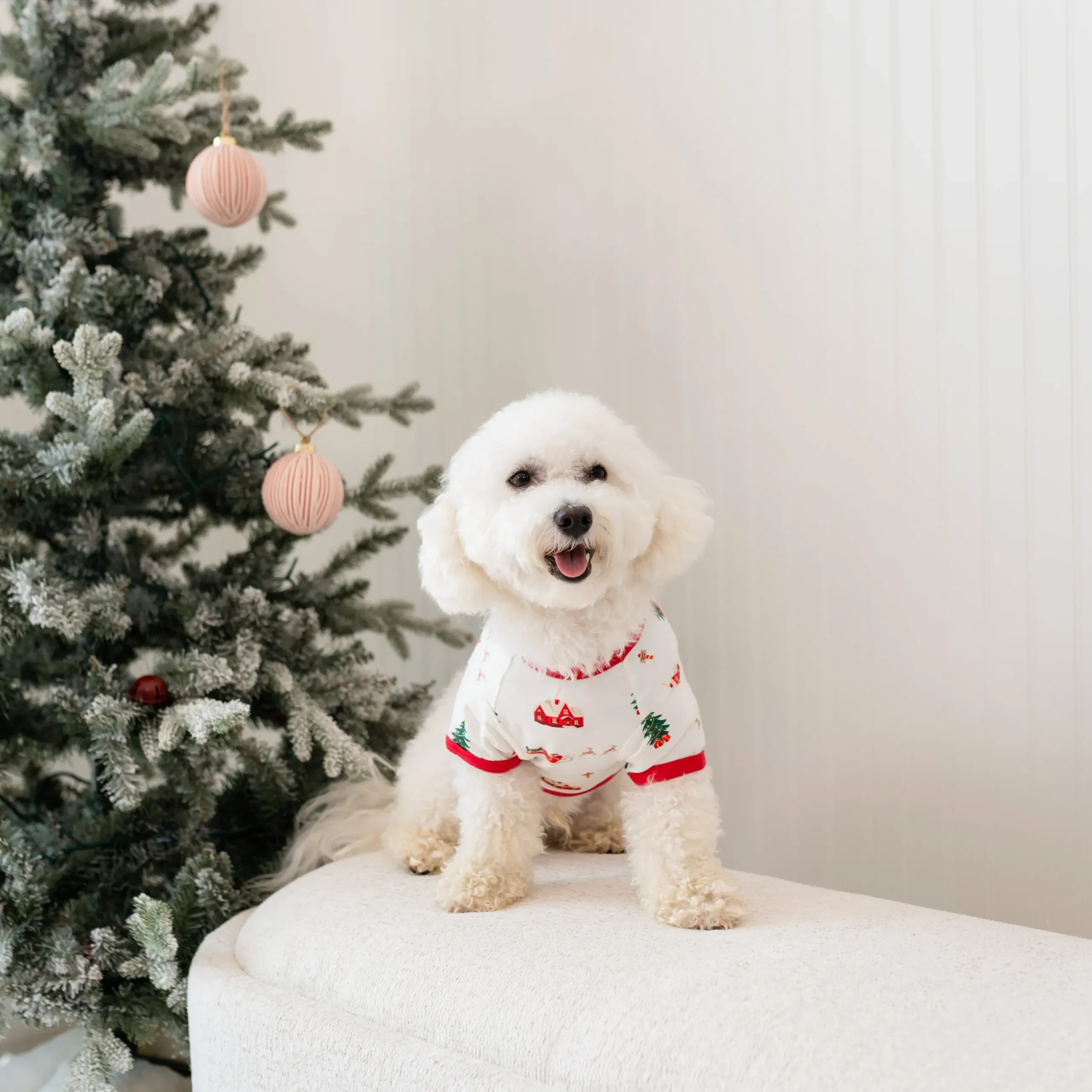 Online Kyte Baby Dog Tee in Santa Sleigh