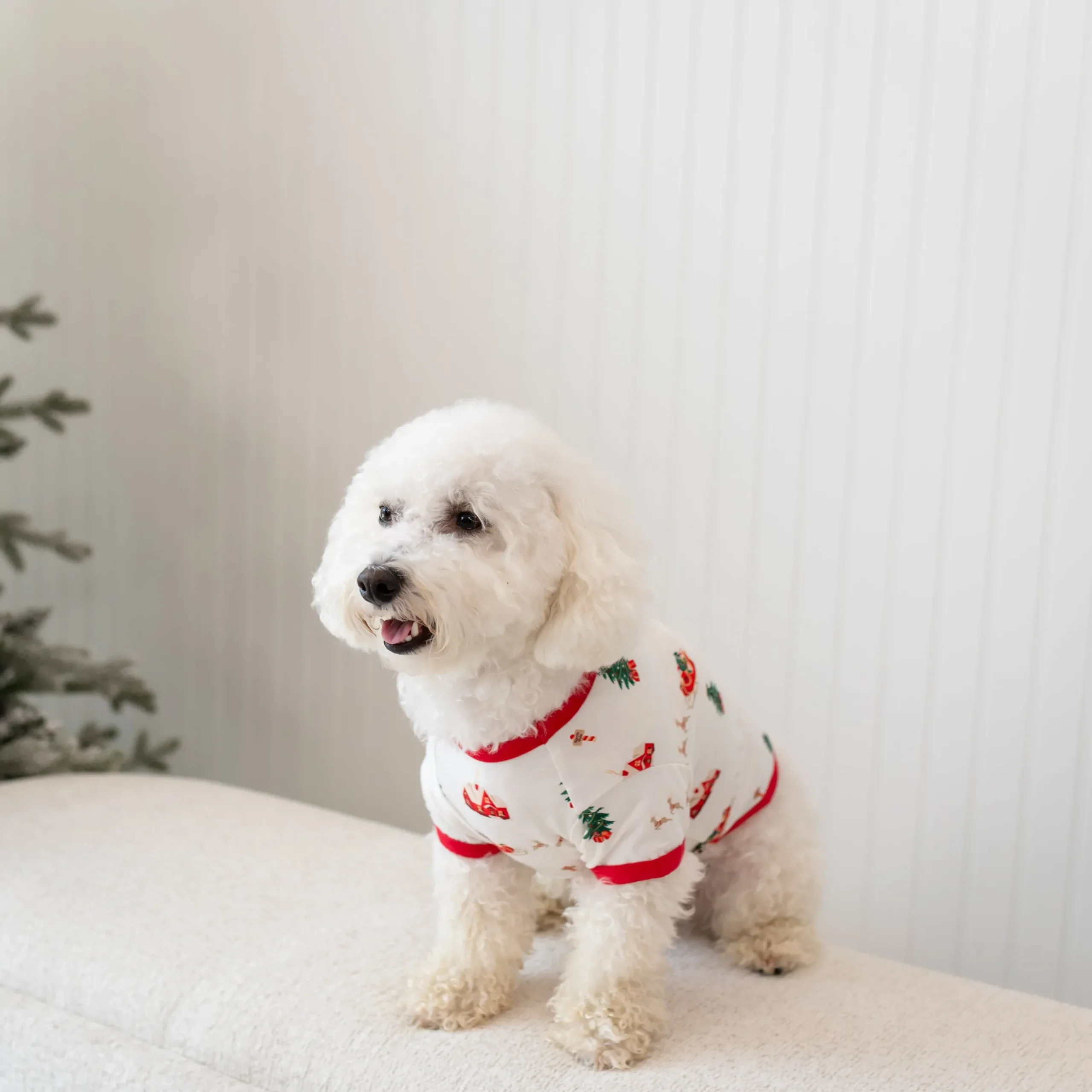 Online Kyte Baby Dog Tee in Santa Sleigh