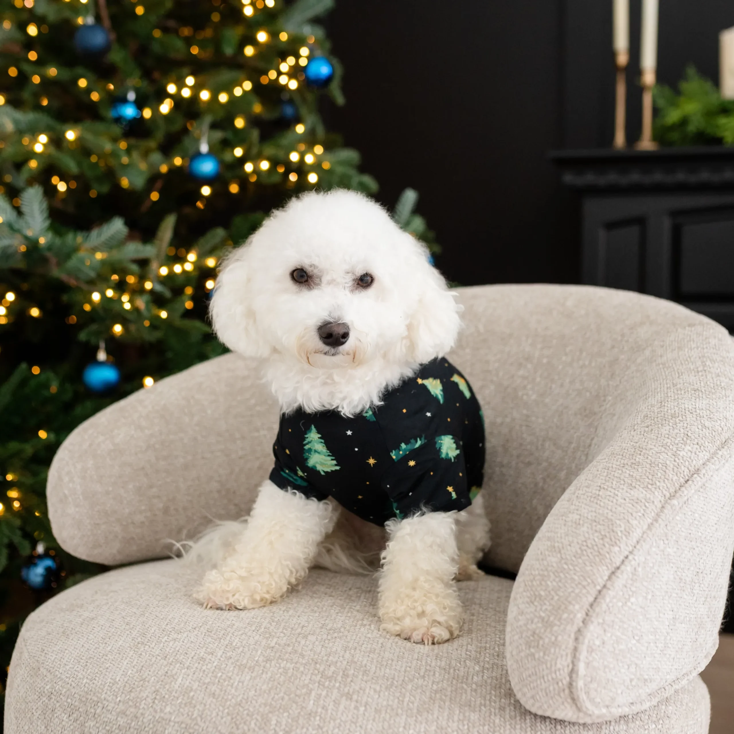 Clearance Kyte Baby Dog Tee in Twinkle Tree