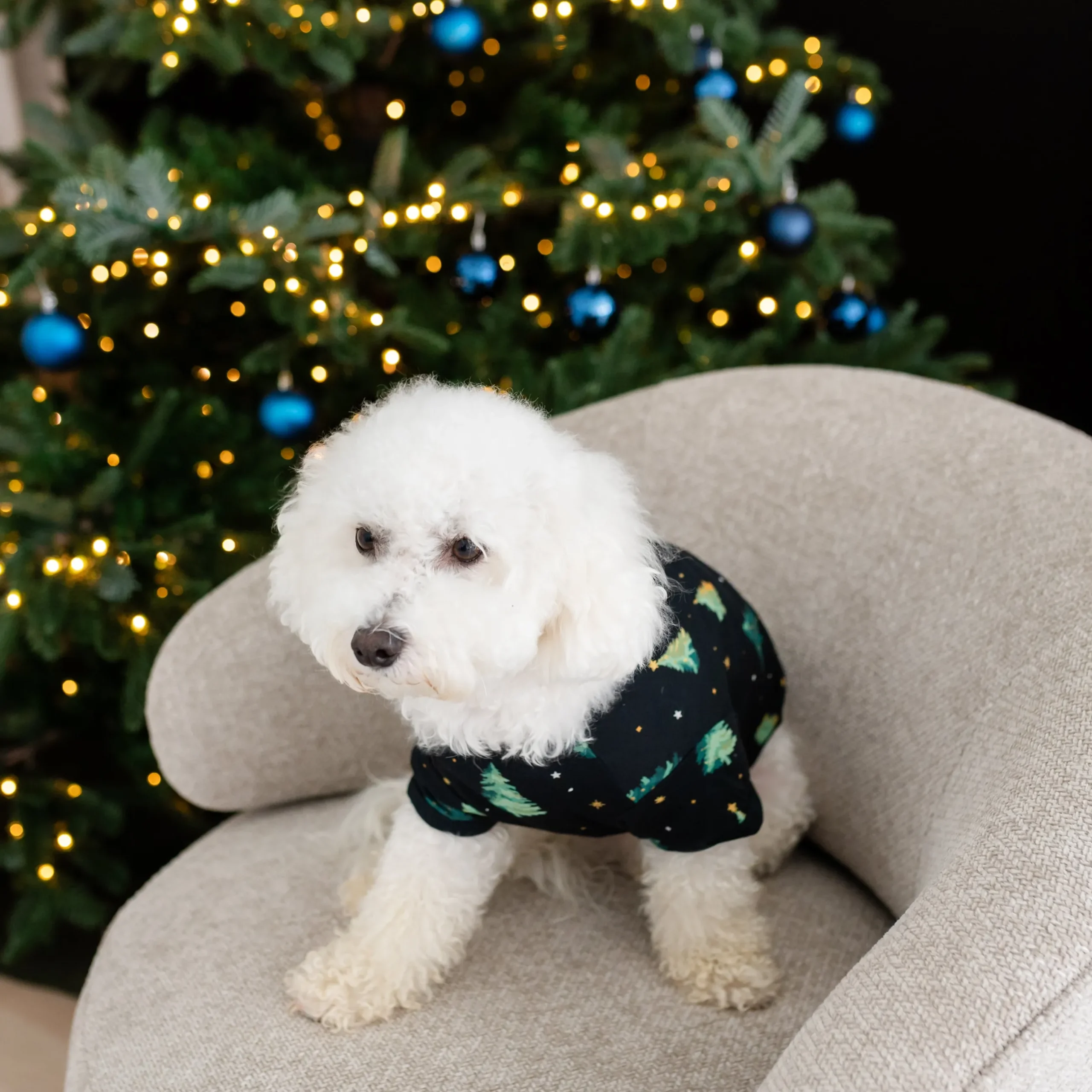 Clearance Kyte Baby Dog Tee in Twinkle Tree