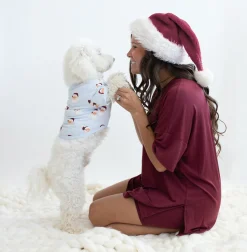 Clearance Kyte Baby Dog Tee in Vintage Santa