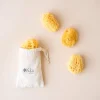 New Kyte Baby Face Sea Sponge - 4 Pack Bundle