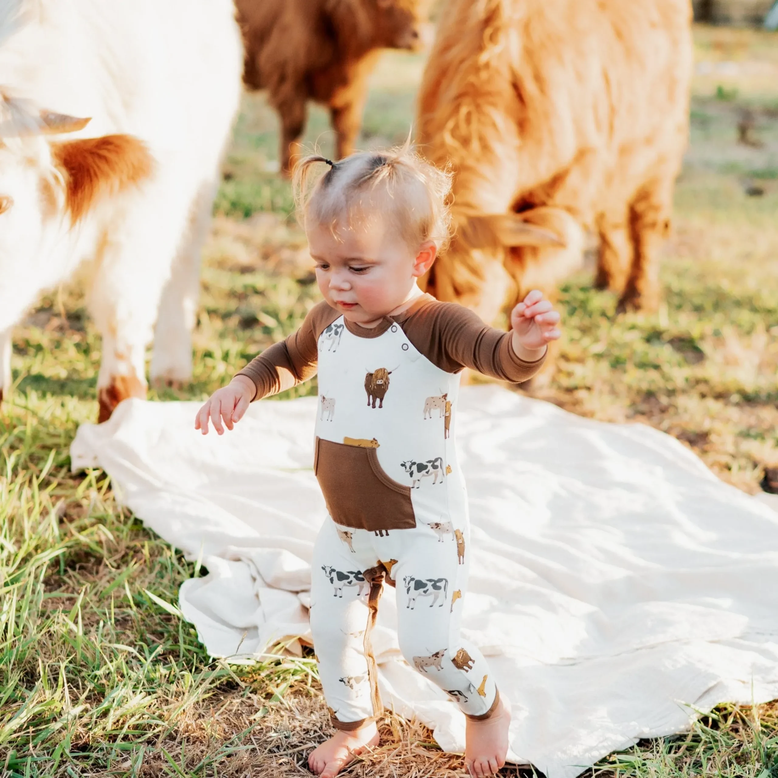 Discount Kyte Baby Longall in Moo