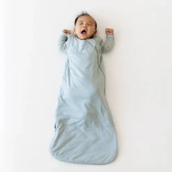 Best Kyte Baby Sleep Bag in 1.0 Fog