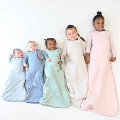 Best Kyte Baby Sleep Bag in 1.0 Fog
