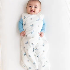 Best Kyte Baby Sleep Bag in 1.0 Jurassic
