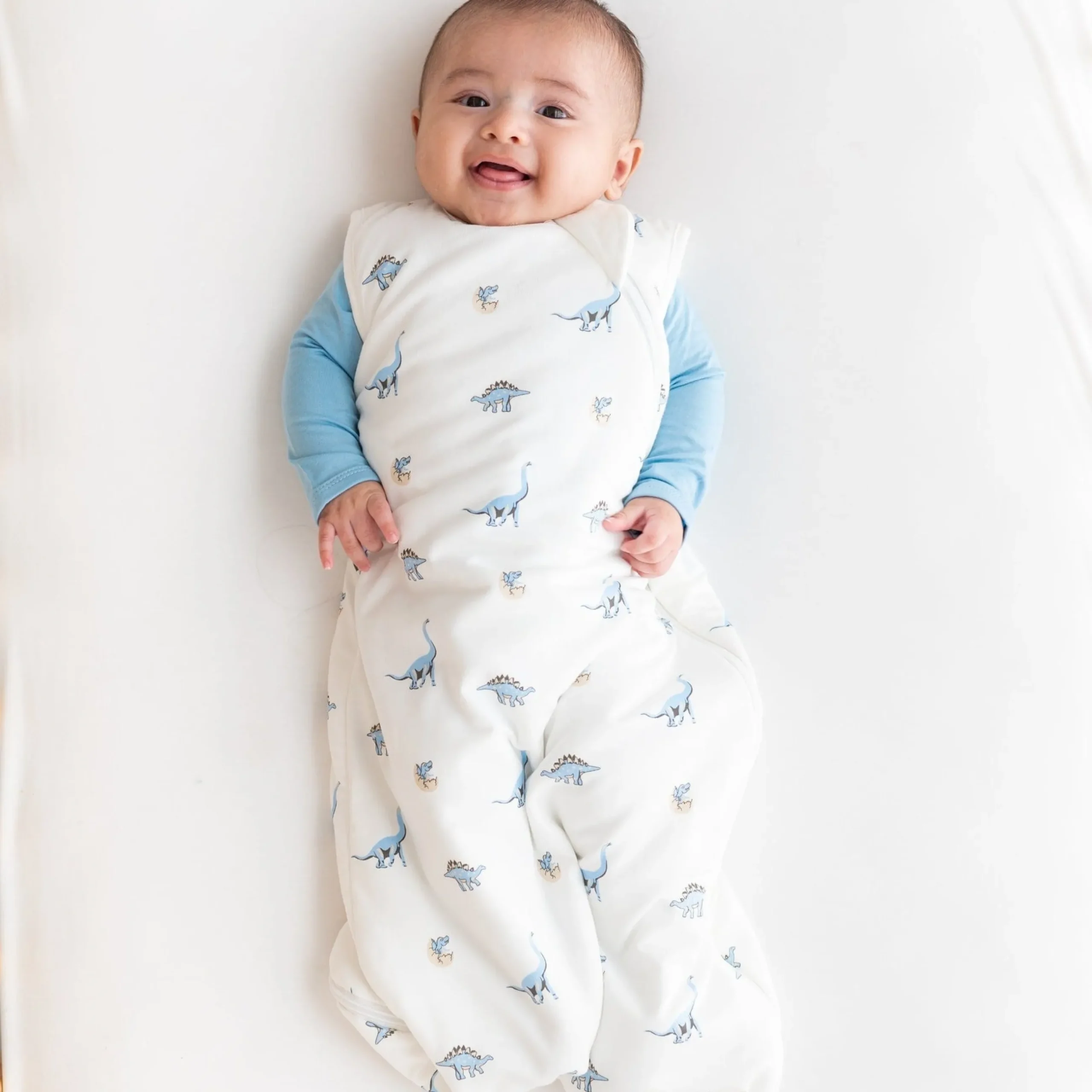 Best Kyte Baby Sleep Bag in 1.0 Jurassic