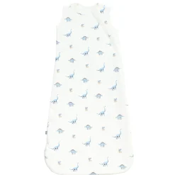 Best Kyte Baby Sleep Bag in 1.0 Jurassic
