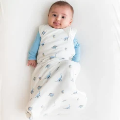Best Kyte Baby Sleep Bag in 1.0 Jurassic