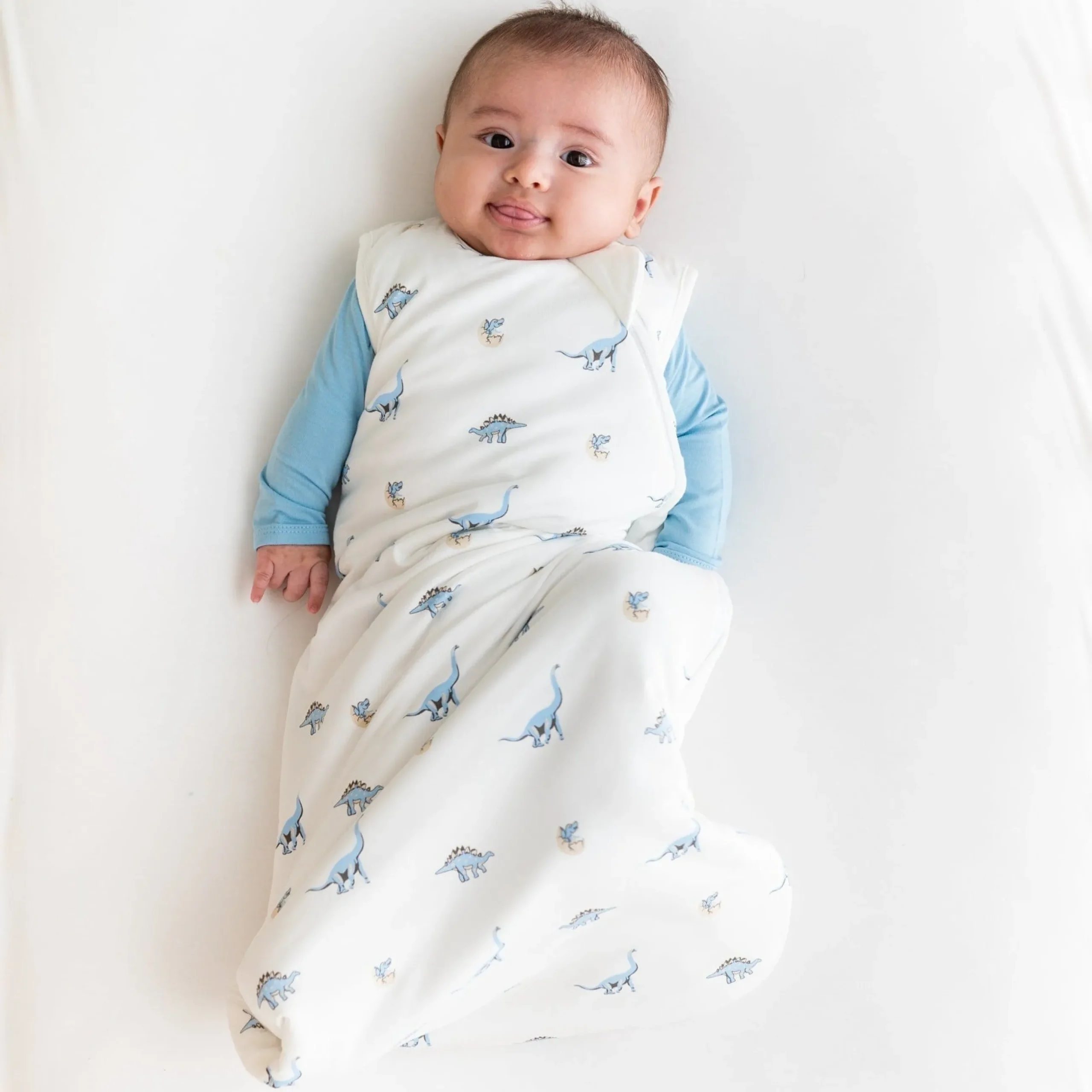 Best Kyte Baby Sleep Bag in 1.0 Jurassic