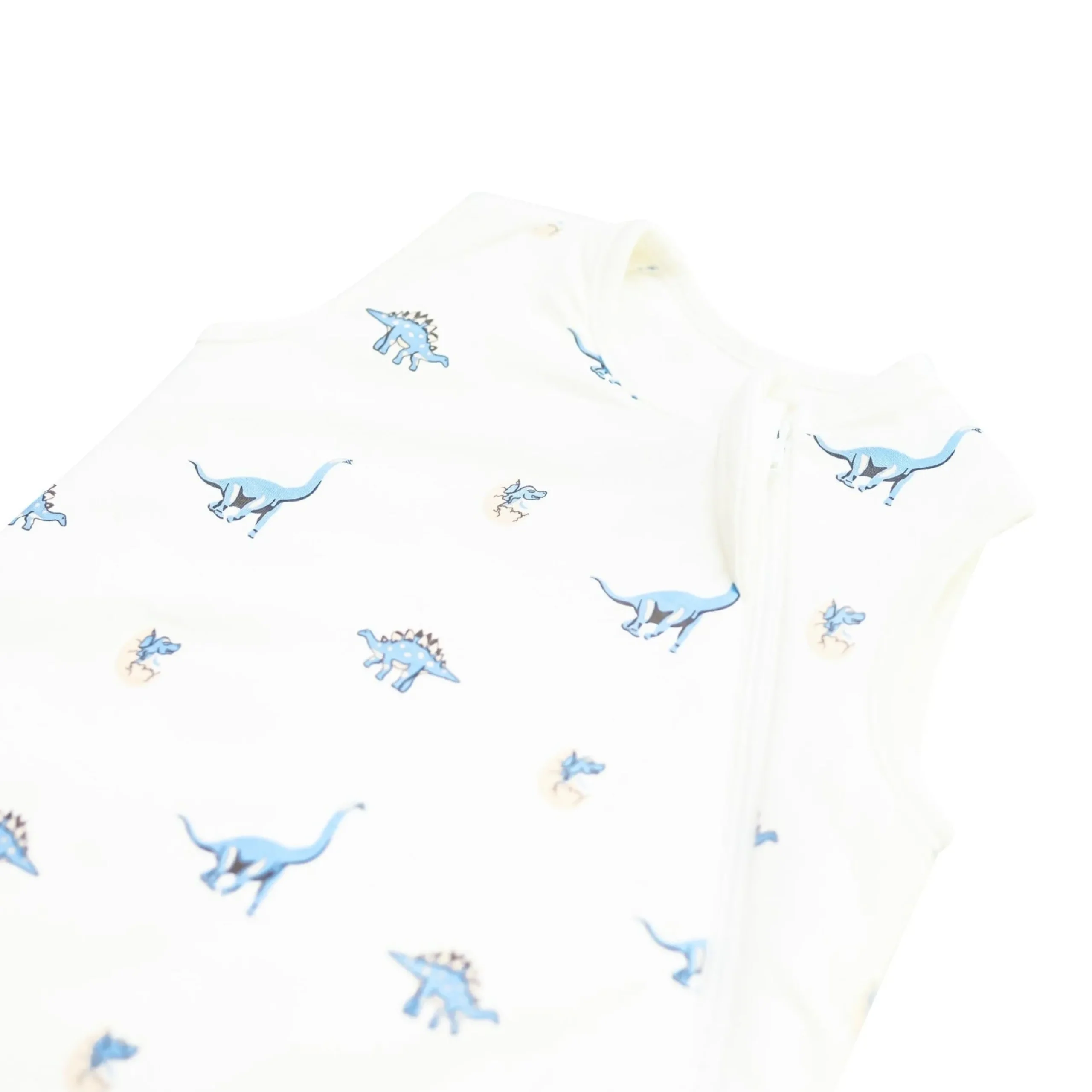 Best Kyte Baby Sleep Bag in 1.0 Jurassic