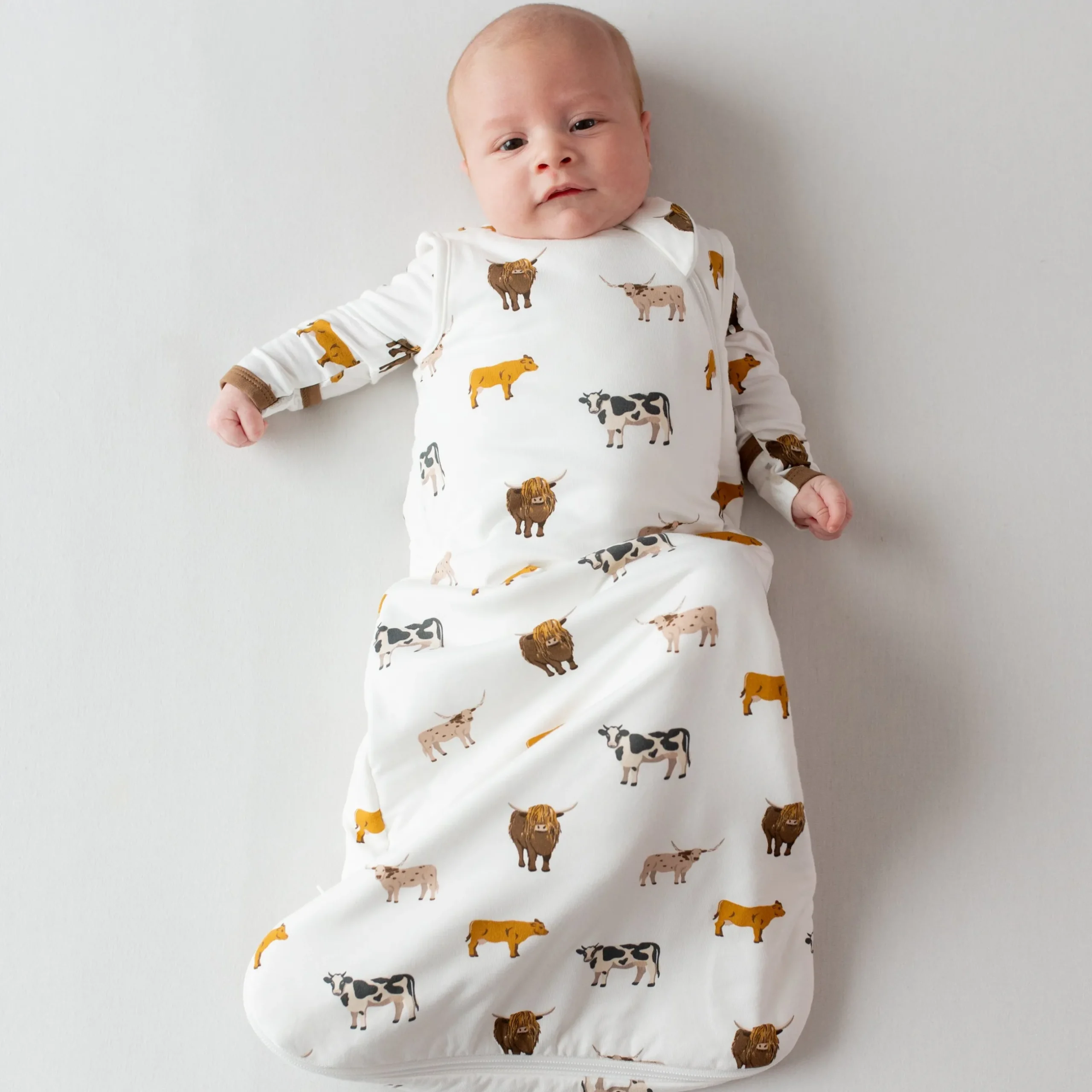 Best Kyte Baby Sleep Bag in 1.0 Moo