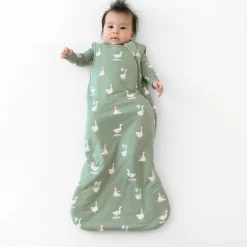New Kyte Baby Sleep Bag in 1.0 Silly Goose