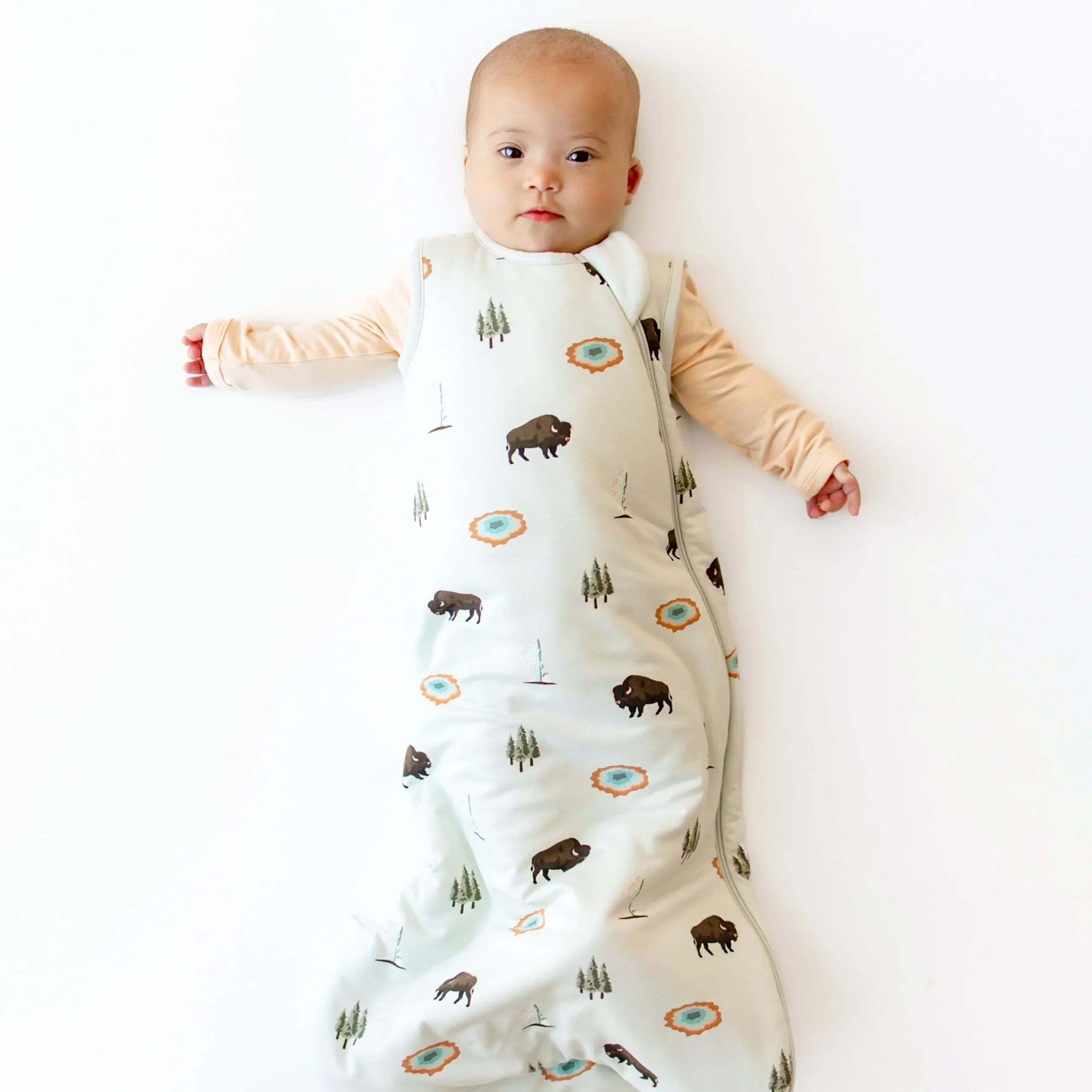 Best Kyte Baby Sleep Bag in 1.0 Yellowstone