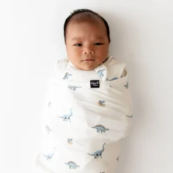 Clearance Kyte Baby Sleep Bag Swaddler in 1.0 Jurassic