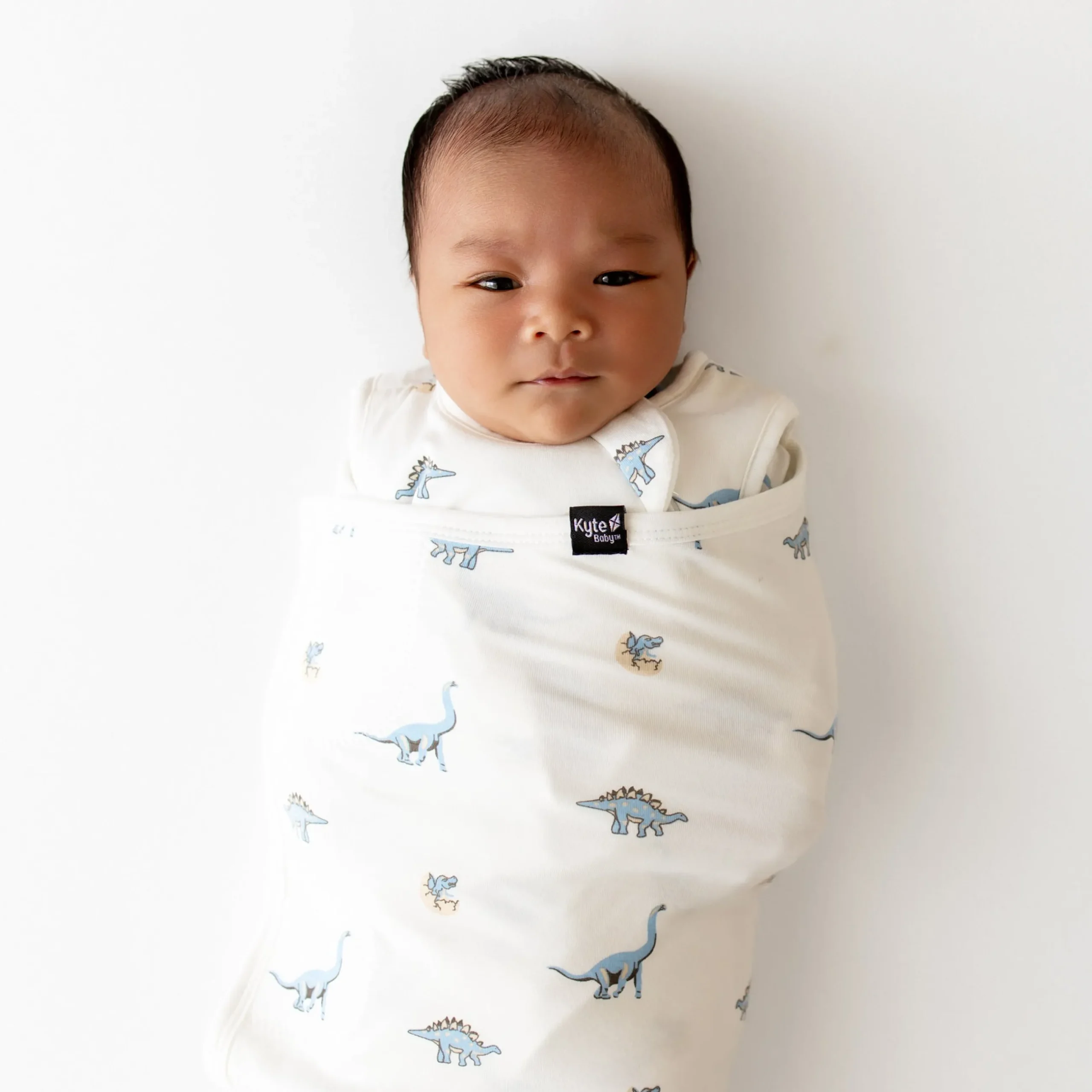 Clearance Kyte Baby Sleep Bag Swaddler in 1.0 Jurassic