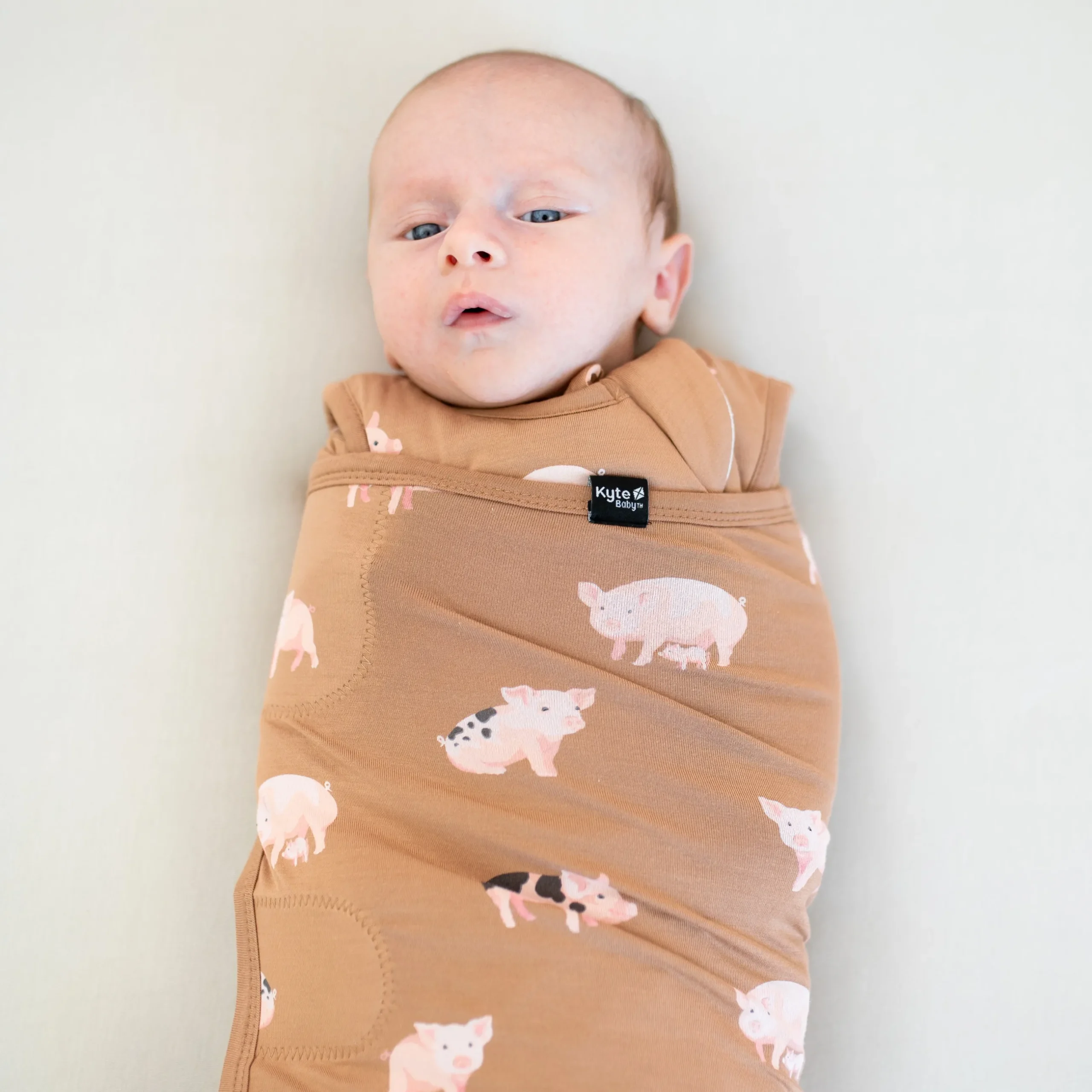 Discount Kyte Baby Sleep Bag Swaddler in 1.0 Pig