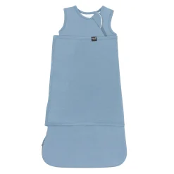 Best Kyte Baby Sleep Bag Swaddler in 1.0 Slate