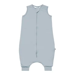 Best Kyte Baby Sleep Bag Walker in 1.0 Fog